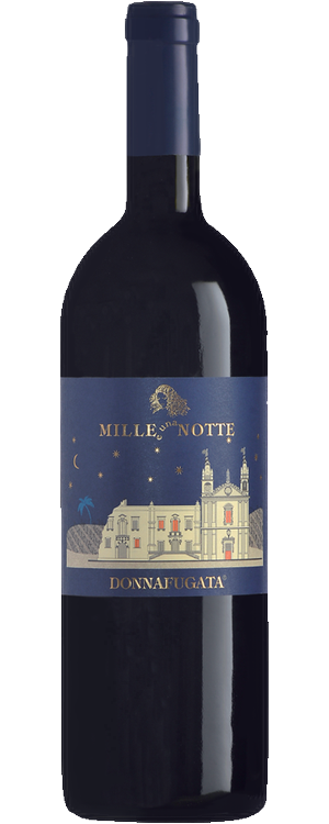 MILLE E UNA NOTTE