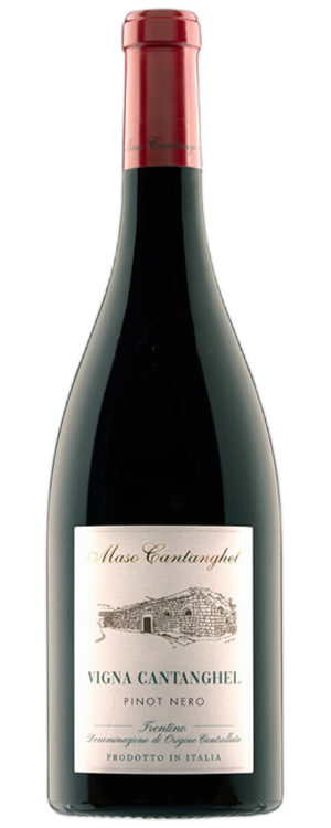 VIGNA CANTANGHEL PINOT NERO